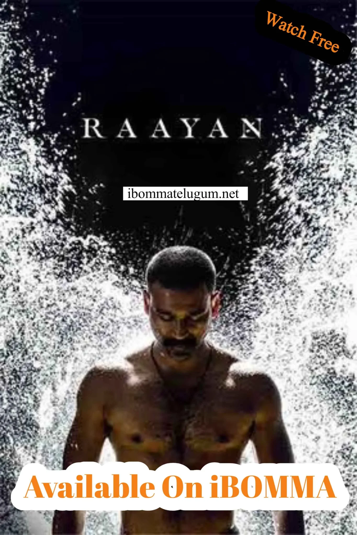 raayan telugu movie